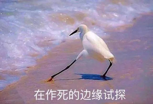 史！上！最！难！中！文！歌！
