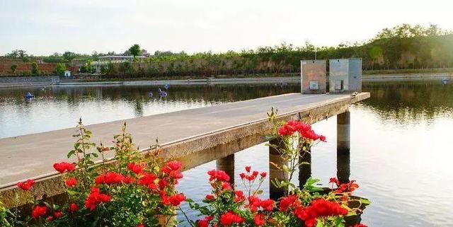 最近农村免费旅游攻略(乡村旅游最佳选择目的地)(4)