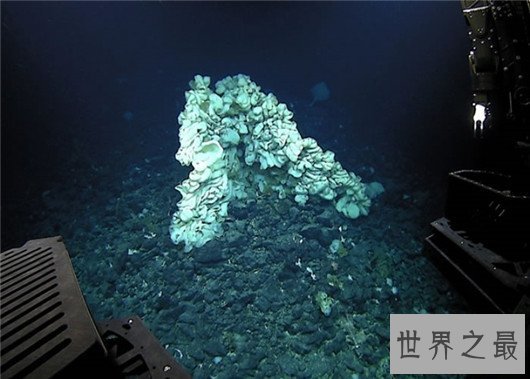 世界最大海绵，海绵的尺寸不可估量