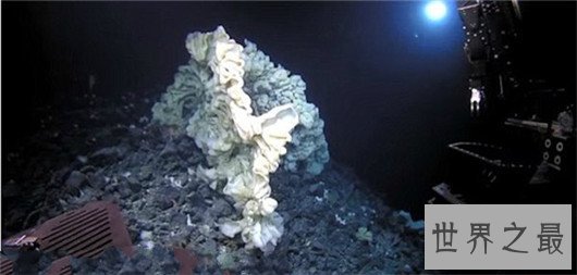 世界最大海绵，海绵的尺寸不可估量