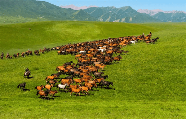 张掖市有多少人口(张掖五县一区人口排名)