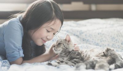 ​最忠诚的猫前十名（哪种猫最忠心听话颜值又高）