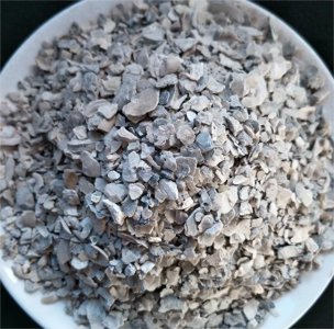 改良酸性土壤的关键——牡蛎壳粉