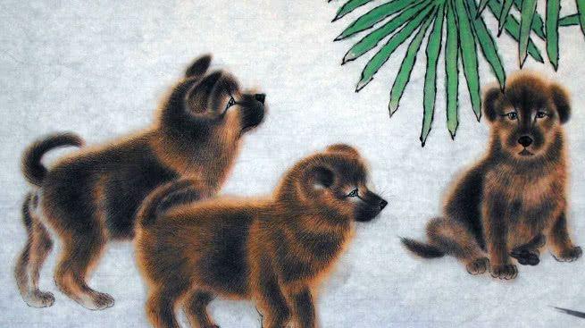 1982年属什么生肖(1982年属狗)