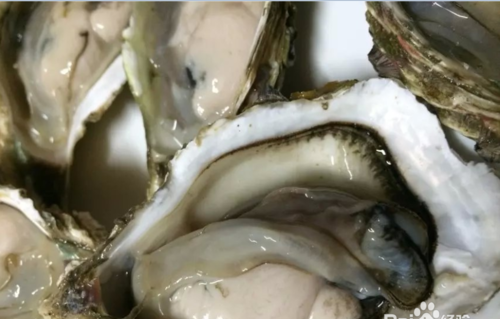 生蚝怎么处理干净 生蚝如何清洗图解
