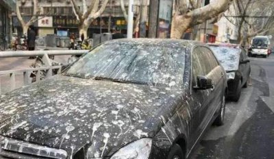 ​汽车顽固污渍用什么可以洗掉