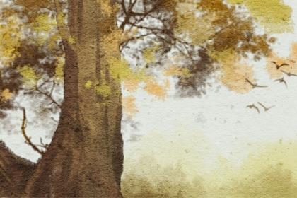 如何在大学校园里搭讪？大学校园搭讪技巧