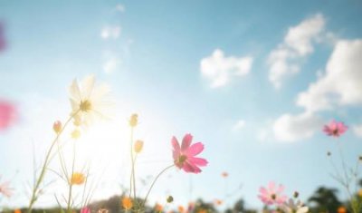 ​商用冰柜尺寸规格一般的冰柜尺寸大概是多少