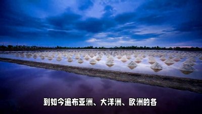 ​你知道盐是怎么来的吗？没想到制盐方式竟有这么多！