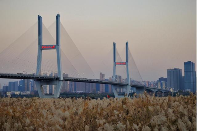 武汉的大桥有哪些（武汉大桥排行榜）(5)