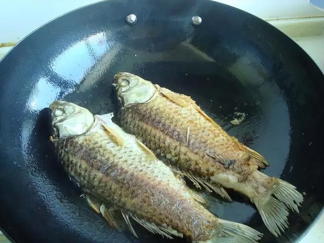 鲫鱼汤最好的做法只要简单三步（鲫鱼汤的正确做法）(4)