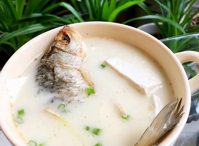 鲫鱼汤最好的做法只要简单三步（鲫鱼汤的正确做法）(5)