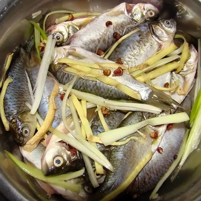 鲫鱼汤最好的做法只要简单三步（鲫鱼汤的正确做法）(3)