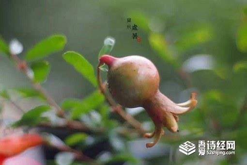 处暑如何养生吃什么