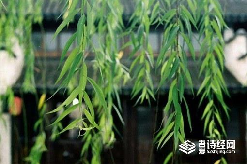 处暑如何养生吃什么