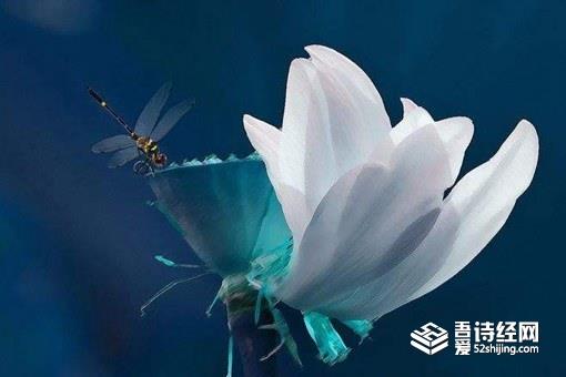 处暑如何养生吃什么