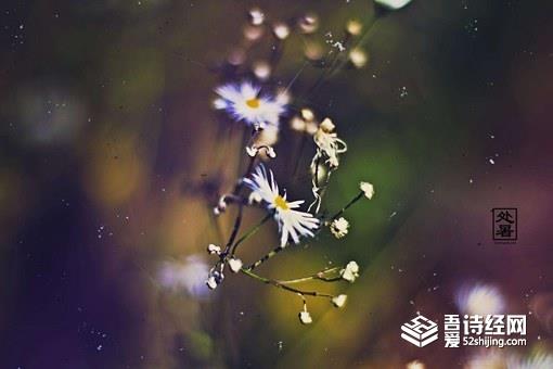 处暑如何养生吃什么