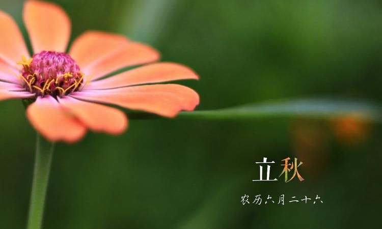 上海立秋以后还要热多长时间