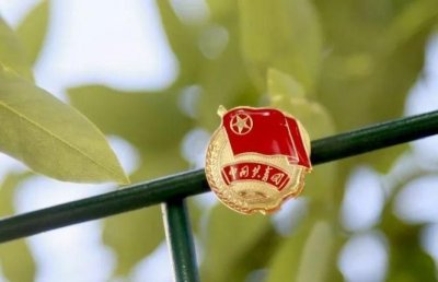 ​团徽的意义，团徽的意义？