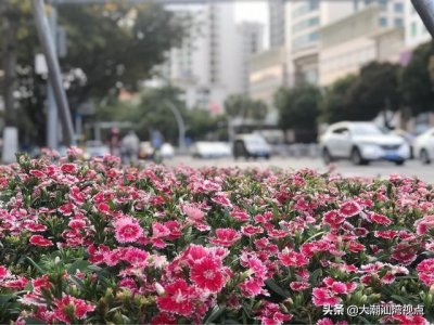 ​为什么广东气候不养人（想知道广东到底有多热点进来看看）