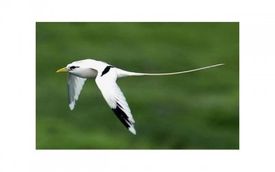 ​离婚共同抚养孩子定义