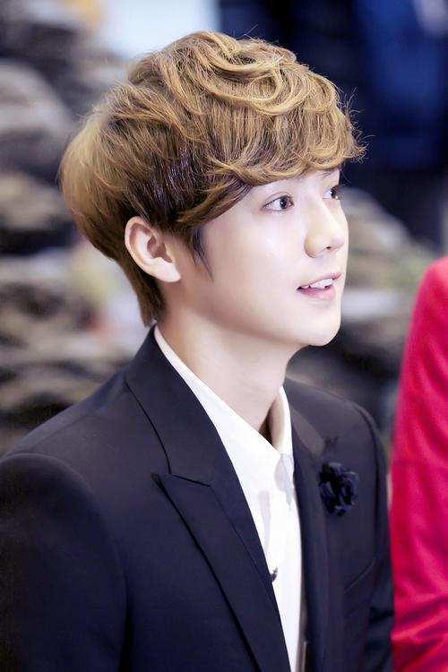 鹿晗为什么偏喜欢关晓彤(27岁便坐拥粉丝近亿)(1)