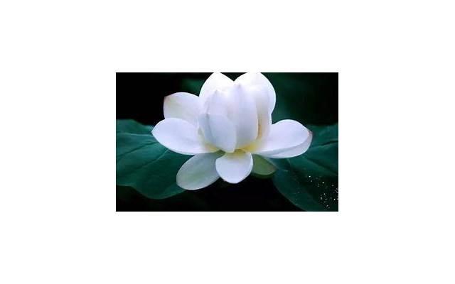 父母造的3种“孽”，老天会让子女来偿还，逃不掉