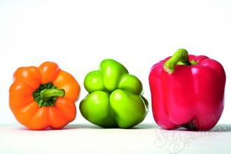 看什么是转基因食品（认识转基因食品）(1)