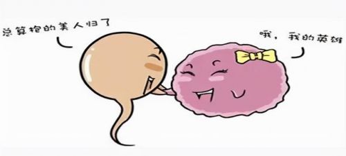 女性怀不了孕做哪些检查(怀不了孕是什么原因造成的)-第2张图片-