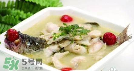 哺乳期能吃鲈鱼吗？哺乳期可以吃鲈鱼吗