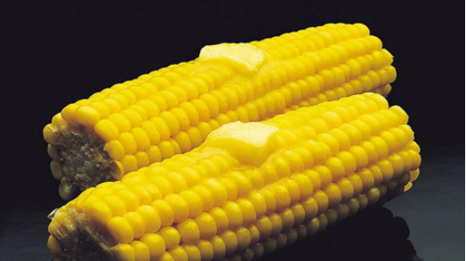 玉米粒底部是黑色的能吃,玉米粒根部发黑能吃吗图4