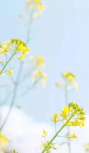 ​一个男的天天给你发微信是什么意思(一个男人每天都给你发微信这说明了什么)