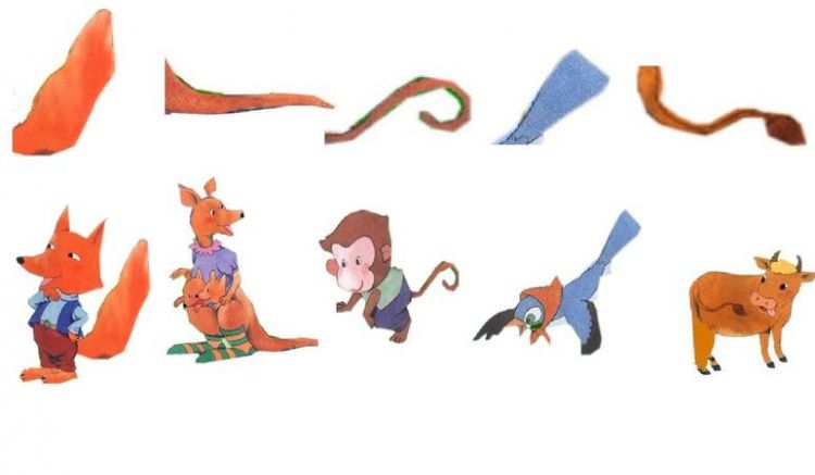 身长肢短尾巴粗是什么生肖打一动物