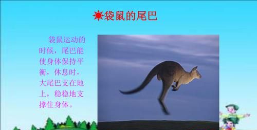 有很多尾巴的像狐狸的动物