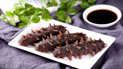 ​北极参和海参的区别有哪些