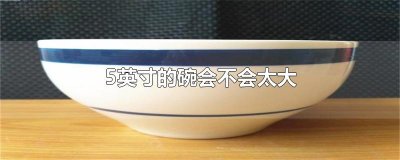 ​5英寸的碗会不会太大