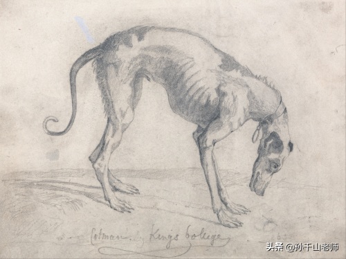 大师素描速写作品欣赏