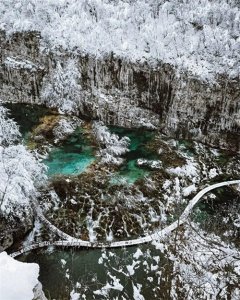 ​关于移民，你不知道的秘密