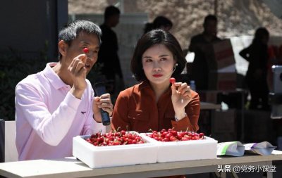 ​镇长是一个什么级别的职务？选任镇长是由县政府，还是县委决定？