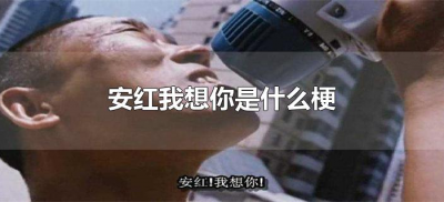​安红我想你是什么梗（安红我想你是什么意思）