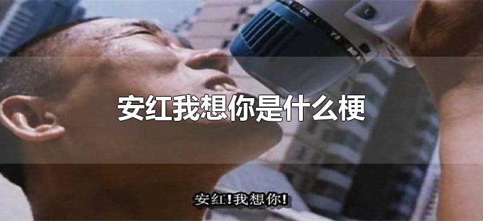 安红我想你是什么梗 安红我想你是什么梗