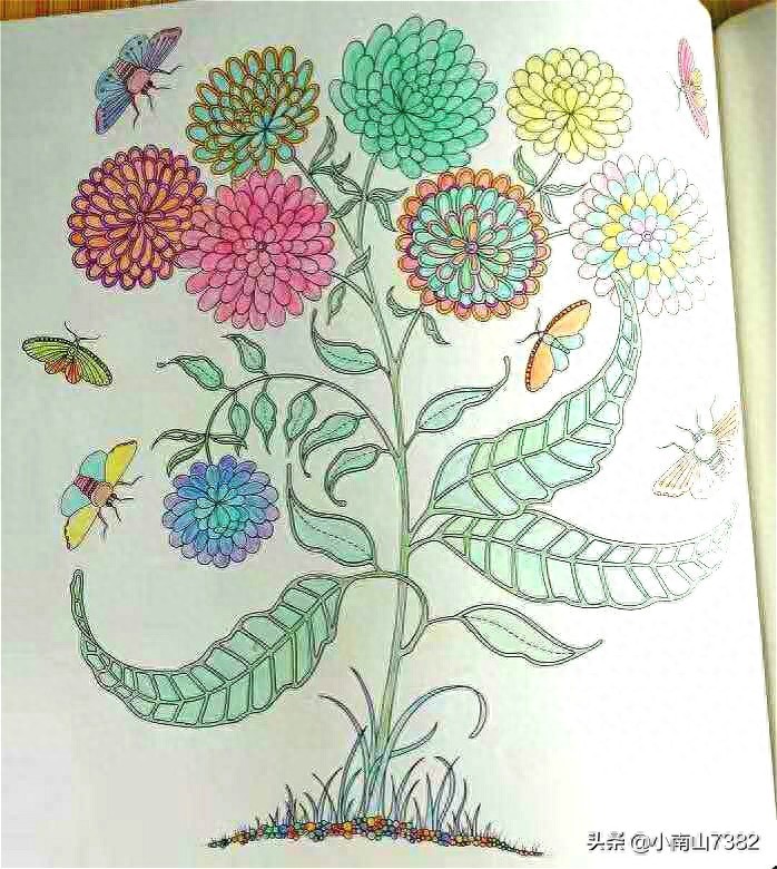 成人减压涂色本《秘密花园》