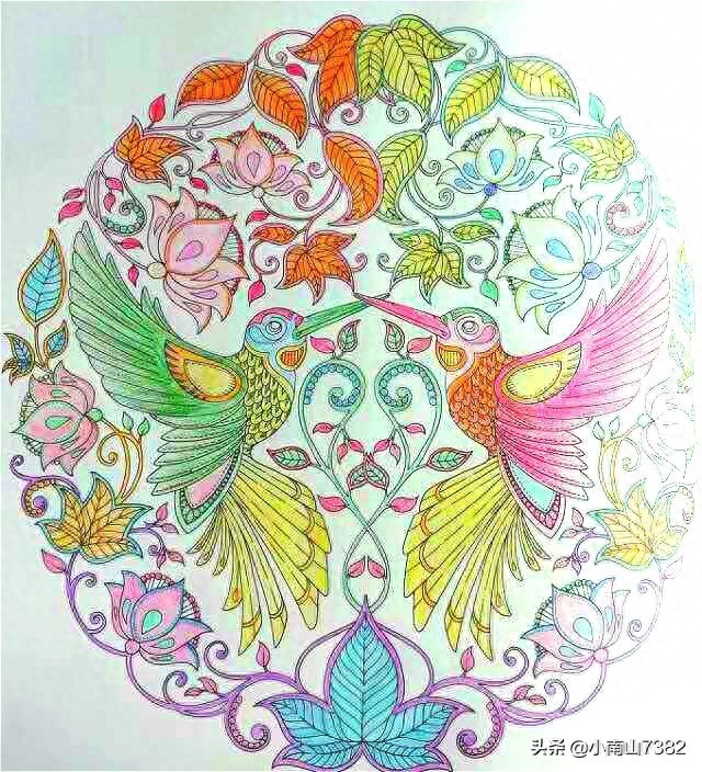 成人减压涂色本《秘密花园》