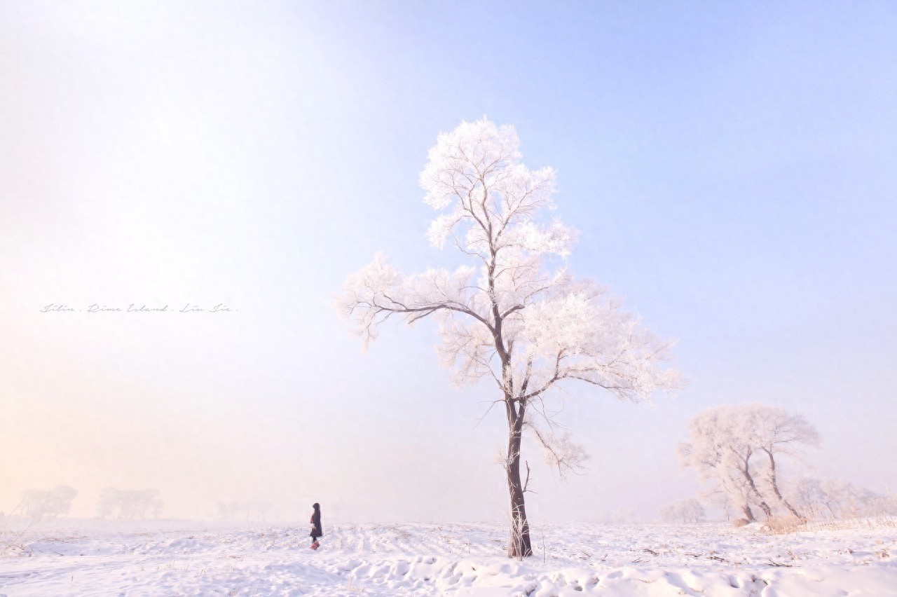 雾凇岛是松花江上的一座小岛，位于吉林市龙潭区乌拉街满族镇