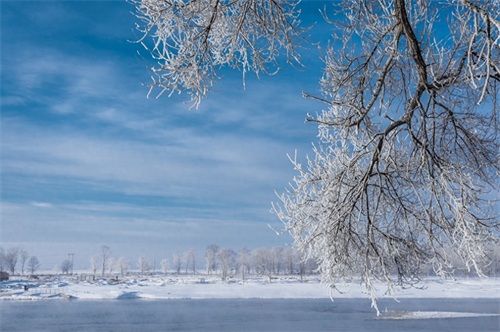 雾凇岛是松花江上的一座小岛，位于吉林市龙潭区乌拉街满族镇