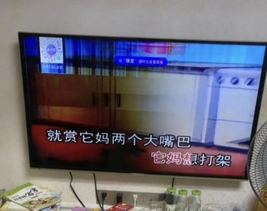 ​电视播放改编的儿歌，家长：这种内容也能播？