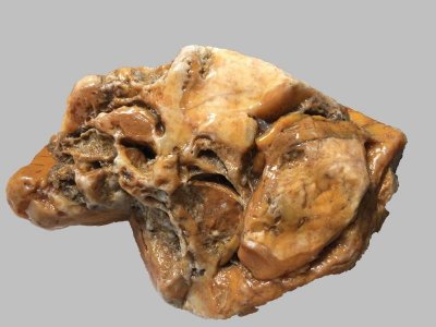 ​天然的蜡石，奇特的纹理，罕见的形状，你有见过吗？