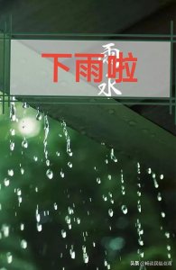 ​农历四月十二，是下雨的日子！看看农谚俗语咋预兆？还准吗