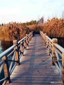 ​西安渼陂湖，涝河西畔的一处仙境，美极了