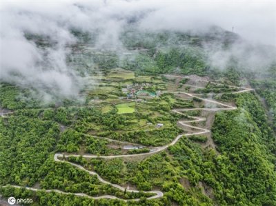 ​航拍四川阿坝奶子沟 层层起伏如林海